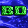 BD