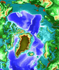 Artic